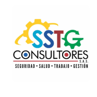 SSTG Consultores Academy